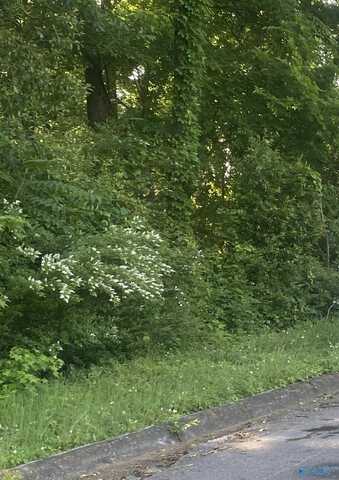 Lot 10-11 Blair Street S, Florence, AL 35630