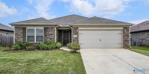 113 Walkers Hill Road, Meridianville, AL 35759