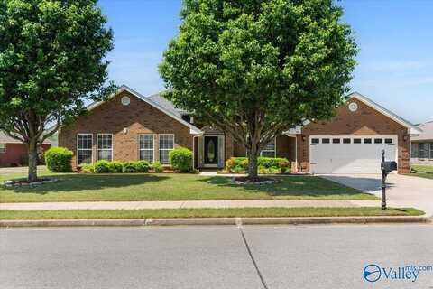 509 Summer Cove Circle, Madison, AL 35757