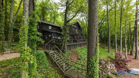8171 County Road 48, Cedar Bluff, AL 35959