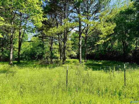 Lot 17 Acorn Hill Circle, Athens, AL 35611
