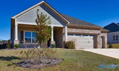 28591 Esther Lane, Madison, AL 35756