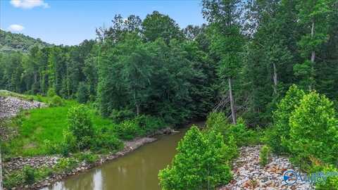Unit #0 Murphree Valley Road, Altoona, AL 35952