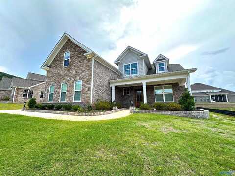 8105 Goose Ridge Drive, Owens Cross Roads, AL 35763