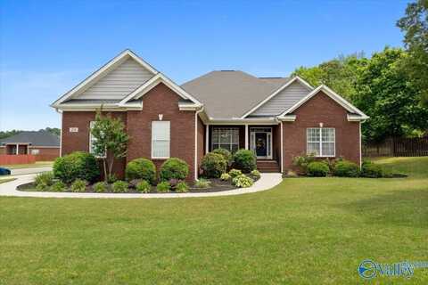 251 Bob G Hughes Boulevard, Harvest, AL 35749