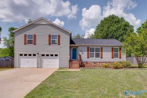 1203 Aldridge Drive, Huntsville, AL 35803