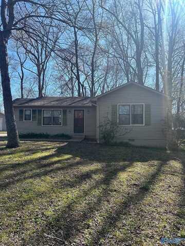 460 Lake Logan Road, Ardmore, TN 38449