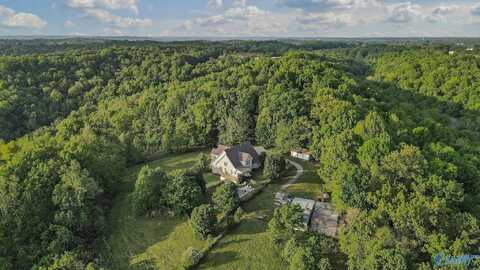 28726 Ragsdale Creek Road, Elkmont, AL 35620
