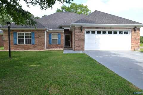 111 Lindsey Lane, Snead, AL 35952