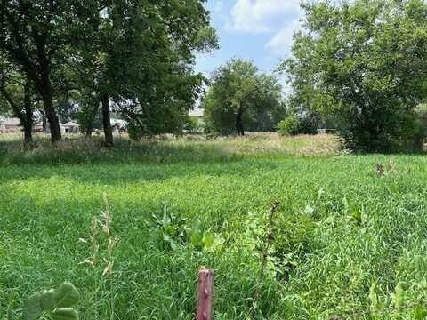 Lot 1-5 N 2nd St, Battle Creek, NE 68715