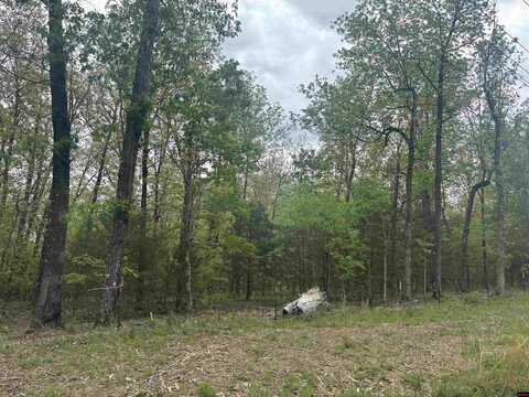 001-00408-000 HAND COVE ROAD, Elizabeth, AR 72531