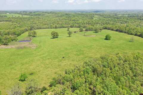 11-0.3-08-000-0 CR 330, Gainesville, MO 65655