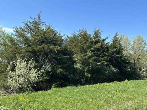 0 150th Street, Mystic, IA 52574