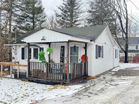 5 Cayuta Ave, Lockwood, NY 14859
