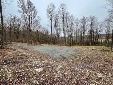 000 Hall Rd, Columbia Cross Roads, PA 16914