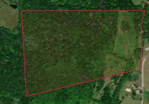 0 Dewey Hollow Road, Mainesburg, PA 16932