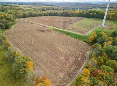 0 Downey Road, Rexville, NY 14877
