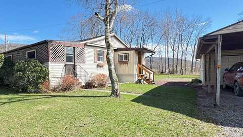 438 Snyder Ln, Ulster, PA 18850