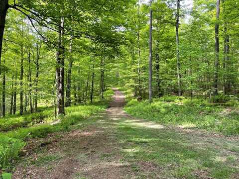 00 Mystery Mountain Lane, Coudersport, PA 16915