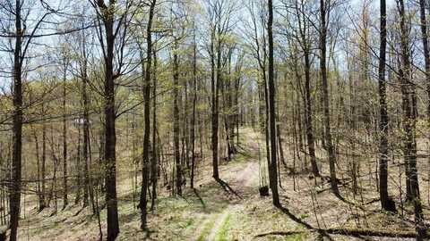 00 Mystery Mountain Lane, Coudersport, PA 16915