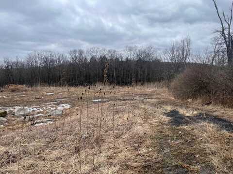 637 Oak Hill Road, Barton, NY 13734
