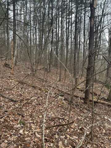0 Birch Hill Road, Lawrenceville, PA 16929