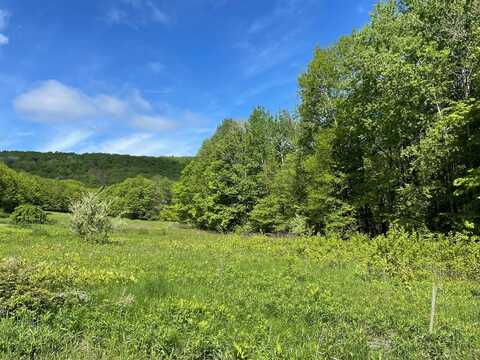 00 Dennis Hill rd, Ulysses, PA 16948