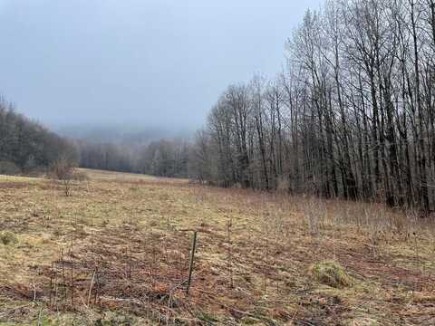 00 Dennis Hill rd, Ulysses, PA 16948