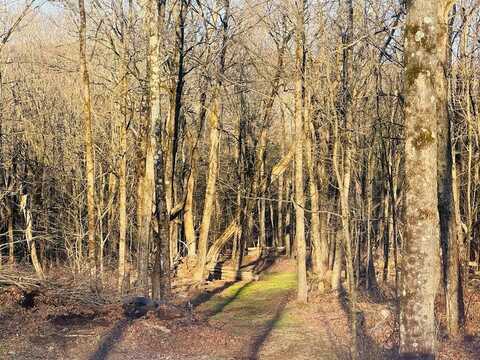 46.33 Vacant Acres Retter Rd, Rome, PA 18837