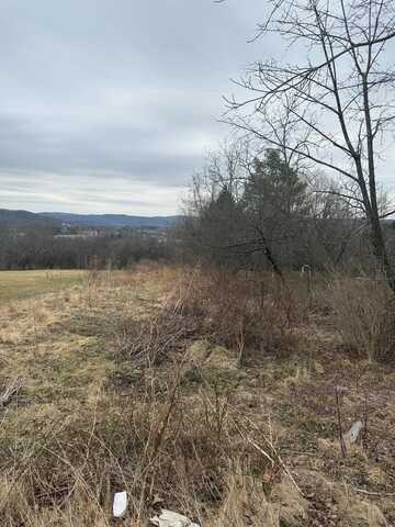 0 Walker Hill Rd, Waverly, NY 14892