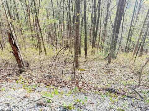 Elliott Ridge Sec Rt 22 Road, Elkins, WV 26241
