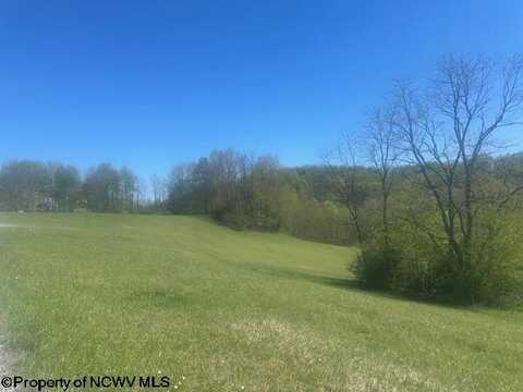 Lots 2 & 3 High Meadow Drive, Moatsville, WV 26405