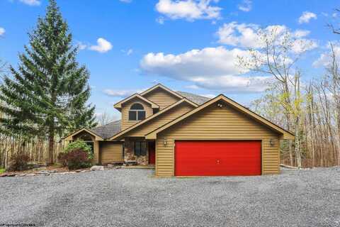 1405 Cabin Mountain Road, Davis, WV 26260
