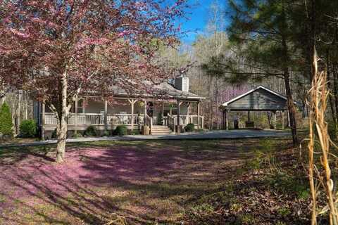 229 Darian Way, Ellijay, GA 30540