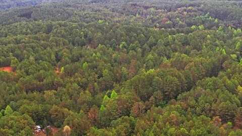 Stansbury Mountain Road, Turtletown, TN 37391