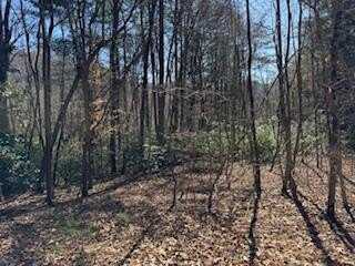 Lot 1 Laurel Ridge Road, Blairsville, GA 30512