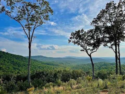 179 Shagbark Court, Talking Rock, GA 30175