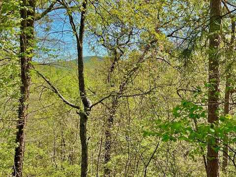 694 Railey Ridge, Ranger, GA 30734