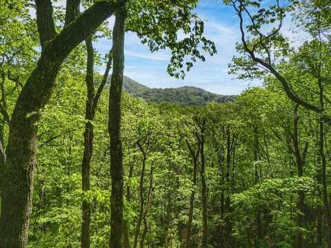 Lot 45 Amy Creek, Ellijay, GA 30540