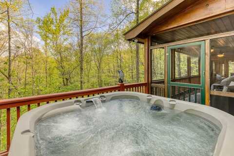 688 Little Bushy Head Road, Cherry Log, GA 30513