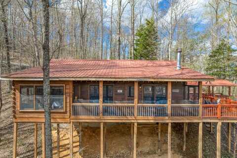 688 Little Bushy Head Road, Cherry Log, GA 30513