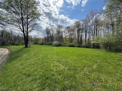 Brushy Hill Road, Jerusalem, OH 43747