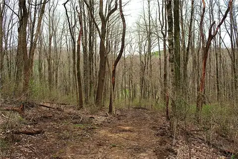 Little Buckhorn Road, Newcomerstown, OH 43832