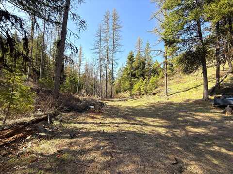 TBD GIVEOUT CREEK RD, WAUCONDA, WA 98859