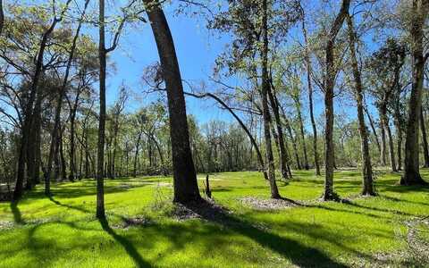 158 SW BUMBLE, Fort White, FL 32038