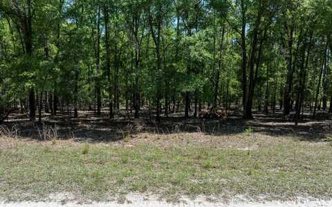0 85TH PATH, OBrien, FL 32071