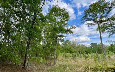 LOT40 160TH TERRACE, Mc Alpin, FL 32062
