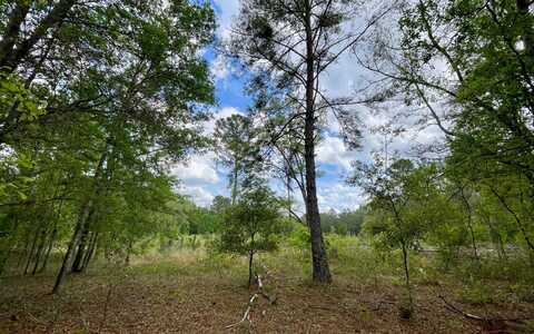 LOT40 160TH TERRACE, Mc Alpin, FL 32062
