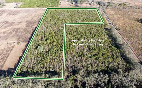 TBD 161ST ROAD 15.26AC, Live Oak, FL 32060