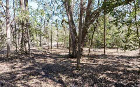 LT 30 141ST RD, Mc Alpin, FL 32062